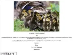 Sites similar to caitlinburke.com