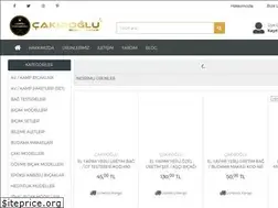 Sites similar to cakiroglubicak.com