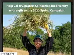 Sites similar to cal-ipc.org
