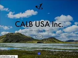Sites similar to calbusainc.squarespace.com