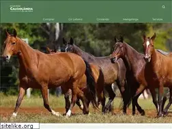 Sites similar to calciolandia.com