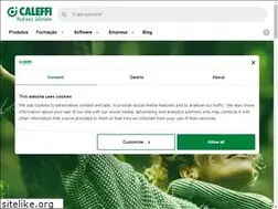 Sites similar to caleffi.pt