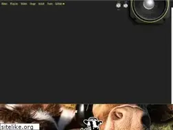 Sites similar to calf-studio-gear.org