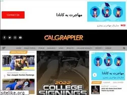 Sites similar to calgrappler.com