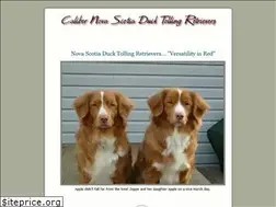 Sites similar to calibertollers.com