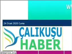 Sites similar to calikusuhaber.com