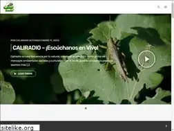 Sites similar to caliradio.tv