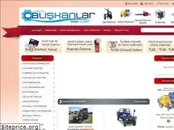 Sites similar to caliskanlartarimticaret.com