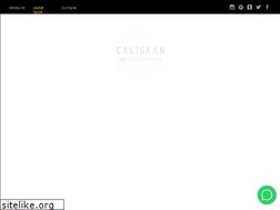 Sites similar to caliskanmetal.com