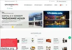 Sites similar to caliskanofis.com
