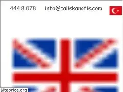 Sites similar to caliskanofis.net