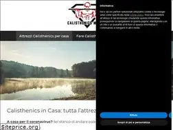 Sites similar to calisthenicsmaster.com