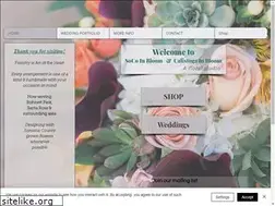Sites similar to calistogainbloom.com