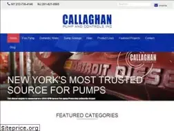Sites similar to callaghanpump.com