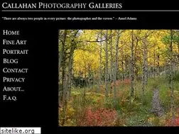 Sites similar to callahangalleries.com