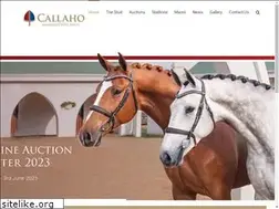 Sites similar to callaho.com