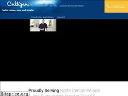 Sites similar to callculligan.com