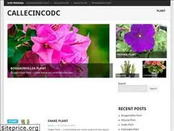 Sites similar to callecincodc.com