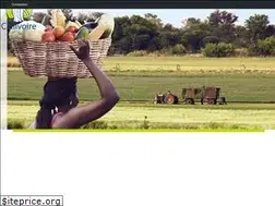 Sites similar to callivoire.com