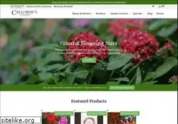 Sites similar to calloways.com