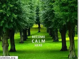 Sites similar to calmcentre.com