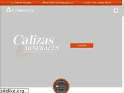 Sites similar to calmosacorp.com