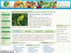 Sites similar to calorienbalans.com