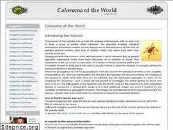 Sites similar to calosomas.com