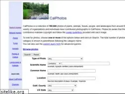 Sites similar to calphotos.berkeley.edu