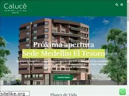 Sites similar to caluce.com.co