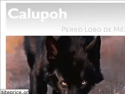 Sites similar to calupoh.com