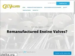 Sites similar to calvalves.com