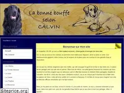 Sites similar to calvin.cx