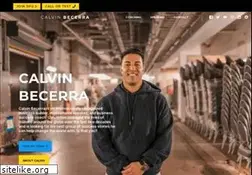 Sites similar to calvinbecerra.com