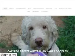 Sites similar to calypsobreezelabradoodles.com
