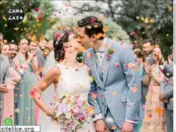 Sites similar to camadegato.com