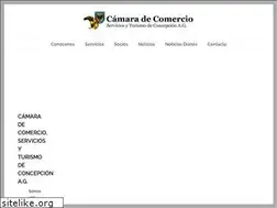 Sites similar to camaradecomercioconcepcion.cl