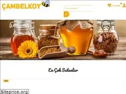 Sites similar to cambelkoy.com