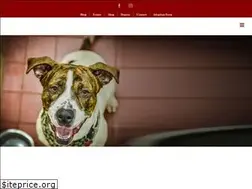 Sites similar to cambriacountyhumanesociety.com