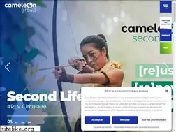 Sites similar to cameleongroup.com