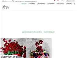 Sites similar to camellia.ge