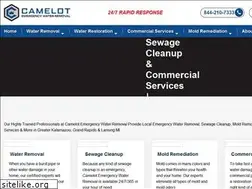 Sites similar to camelotservice.com