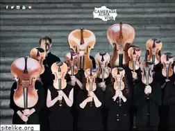 Sites similar to camerataalmaviva.com