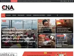 Sites similar to cameroonnewsagency.com