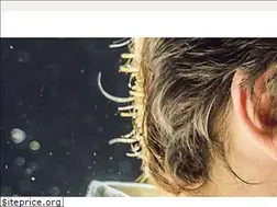 Sites similar to camfil.be