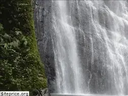 Sites similar to caminatasecologicasbogota.com