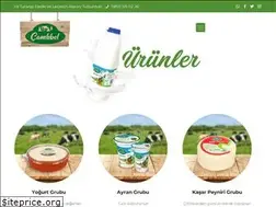 Sites similar to camlibelgida.com