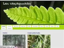 Sites similar to campagnonades.com