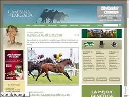 Sites similar to campanadelargada.com.ar
