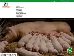 Sites similar to campeonagropecuario.com